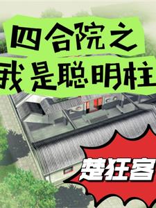 Siheyuan: I am the Smart Pillar
