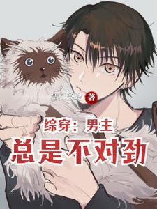 Summary: The male protagonist is always wrong
